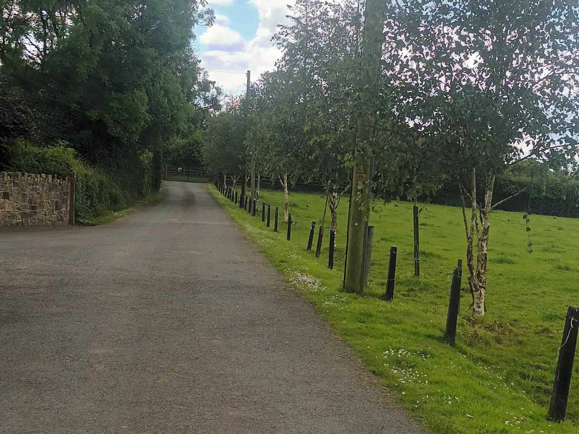 Birdhill Farmhouse Tipperary Εξωτερικό φωτογραφία